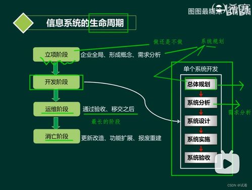系統分析師 軟件工程