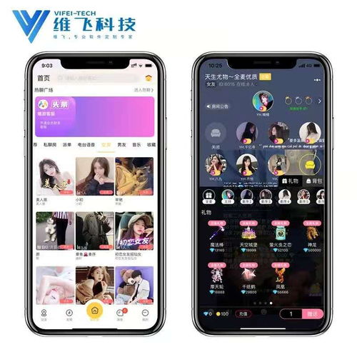 裝修app軟件開發定制公司 達州